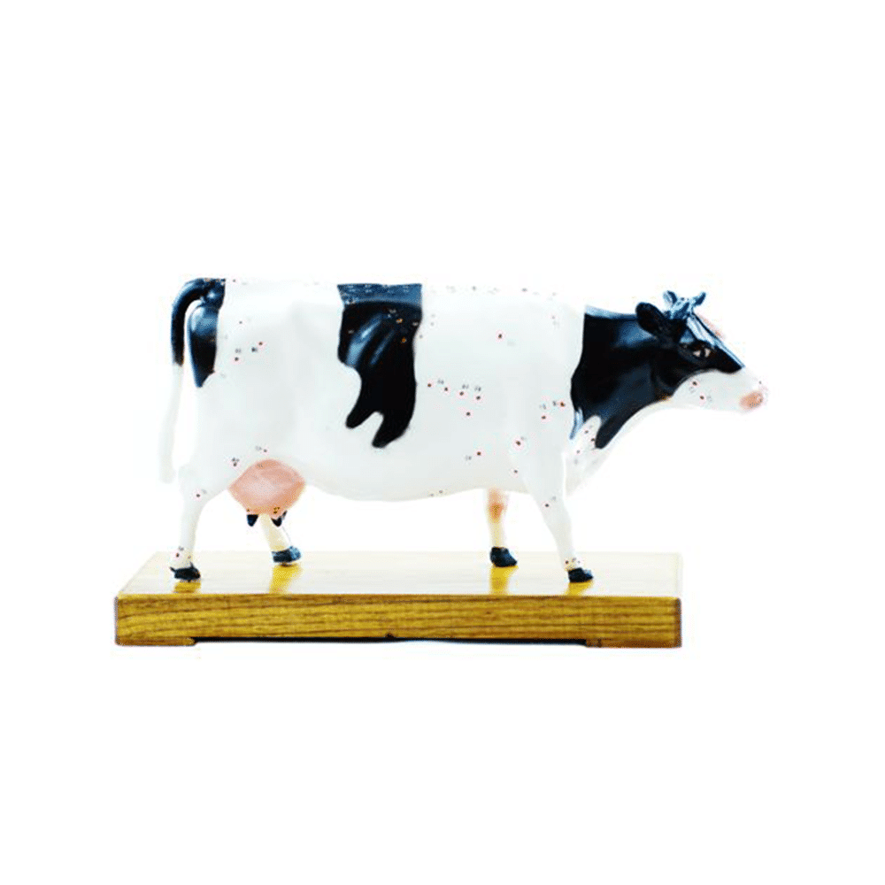 Soft Vinyl Cow Model - AcuPrime